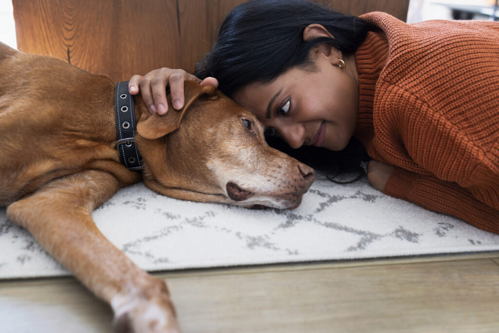 Owner with her older dog during an end of life session.